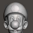 WhatsApp-Image-2023-03-15-at-08.58.00.jpeg Combo Mario + Luigi + Peach Head for Cosplays