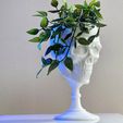 IMG_8222.jpg SKULL GOBLET /PLANTER