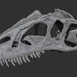 Screenshot-2023-12-18-161550.jpg Allosaurus Dinosaur Skull Replica