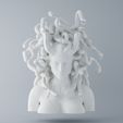 Medusa Head Preview 001.jpg Medusa Head
