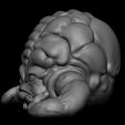 06.jpg 3D PRINTABLE KRANG TWO PACK NINJA TURTLES TMNT