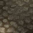 2.jpg Beach Rock 8K PBR Texture