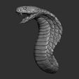 6.jpg Snake cobra