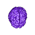 FullBrain.stl Human Brain - Converted MRI Scan of Real Human Brain