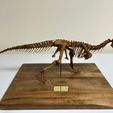 received_7802957986392605.jpeg Carnotosaurus skeleton