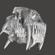 Screenshot-105.png Saber tooth skull HYBRID