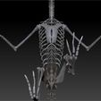 Archaeopteryx-9.jpg archaeopteryx SKELETON - FULL 3D archaeopteryx DINOSAUR BONES