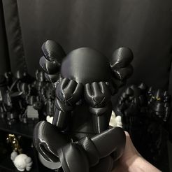 KAWS COMPANHEIRO SEPARADO