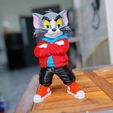 gen-h-z7316310742855_1378f826fb4c34ecb751afdc4773d441.jpg Tom and jerry urban vibes Fan art (no ams-multiparts/3mf)