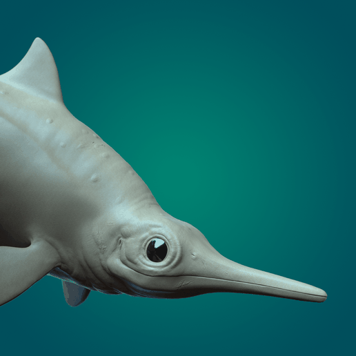 Ophthalmosaurus env.06-min.png Офтальмозавр в окружающей среде
