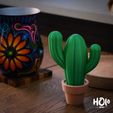 DSCF5013.jpg Bonitos cactus para decorar el hogar - Print in Place