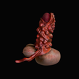 model-4.png dildo cobra monstro