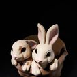 DSC01574.jpg Easter Bunny Baskets - Baby Kitten
