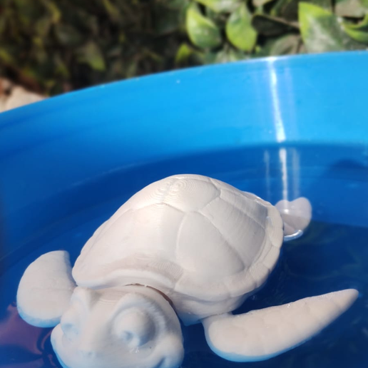 Imagen-de-WhatsApp-2025-10-30-a-las-17.52.13_b179eb65.png Flexi Sea turtle , No support need! Tortuga Marina Flexi
