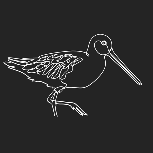 Asian Dowitcher 1 lineart 3d printed
