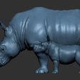 Rhino (10).jpg Rhino