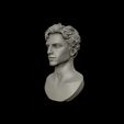 20.jpg Timothee Chalamet bust sculpture 3D print model