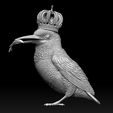 54654654.jpg Kingfisher bird