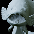 zander-trophy-56.png zander / pikeperch / Sander lucioperca fish in motion trophy statue detailed texture for 3d printing
