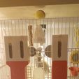 20210125_200443.jpg Bird Feeder (automatic)