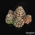 SD_Deco_PineConeBunchRender04.jpg Pacchetto decorazioni per le feste invernali