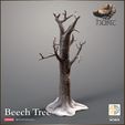 720X720-release-beech-2.jpg Beech Tree Winter/Summer versions - The Hunt
