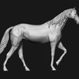 08.jpg Thoroughbred Horse model 3D print model