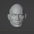 1.png The Rock head