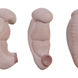 3_Weeks_Color.png 3D file 3 Weeks Human embryonic (baby stages)・3D printer design to download