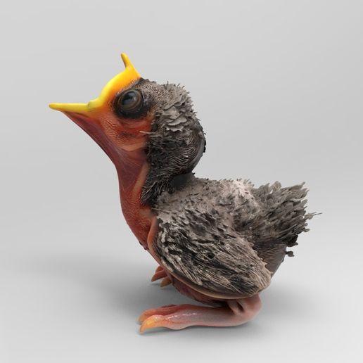 1/32 Scale Newborn Baby Bird with Open Beak - Realistic Nestling Figure for Slot Car Diorama, Wildlife Scene & Miniature Display