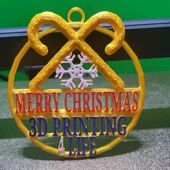 20231127_201338-1.jpg An ornament for all the 3D printers out there