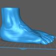 Foot-Vase-Moad-STL-4.jpg Foot Vase Vase - Foot Penholder - Pies Pies Macetero - Anatomical Sculpture