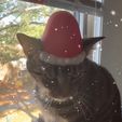 IMG_2304.jpeg Santa Cat Hat 🎅