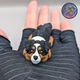 393104389_385901423851164_5930208114542346530_n.jpg Baby Dog and Cat Flexi Keychains (Set of 8.)