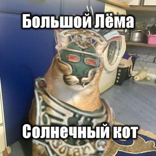 big LEMA SOLAR cat