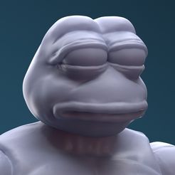 pepePortrait_v001.jpg Free STL file Pepe The Frog (Marvel Legends / Motu Classics)・3D print design to download