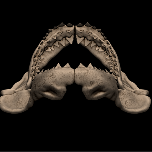 5.png Megalodon Shark Jaw
