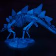 Stegosaurus Skeleton