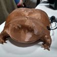 IMG_20180319_135712676_HDR.jpg Free STL file Wednesday Frog Raspberry Pi Case・3D printer design to download