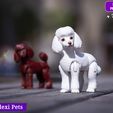 L-11.jpg Realistic Poodle dog articulated flexi toy named Luna  (STL & 3MF)