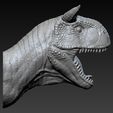 07.jpg Carnotaurus  Head
