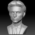 2.jpg Timothee Chalamet bust for 3D printing