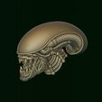 2.jpg Xenomorph Alien biomechanical head