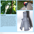 Capture.png Fig pickings