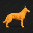 1590-Belgian_Shepherd_Dog_Laekenois_Pose_01.jpg Belgian Shepherd Dog Laekenois Dog 3D Print Model Pose 01