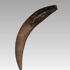SmilodonTooth.jpg STL-Datei Säbelzahn von Smilodon sp. kostenlos・3D-Druckvorlage zum Herunterladen