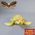 5.jpg Flexi Turtle | Print in place | no support