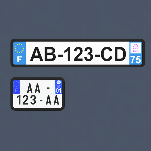 2024-04-21_06h33_08.png License plate