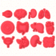 main.png Human organs cookie cutters set of 12
