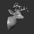5-ZBrush-Document.jpg Deer head-WALL MOUNTED